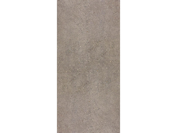 OCTAVIA GREY MAT 60*120
