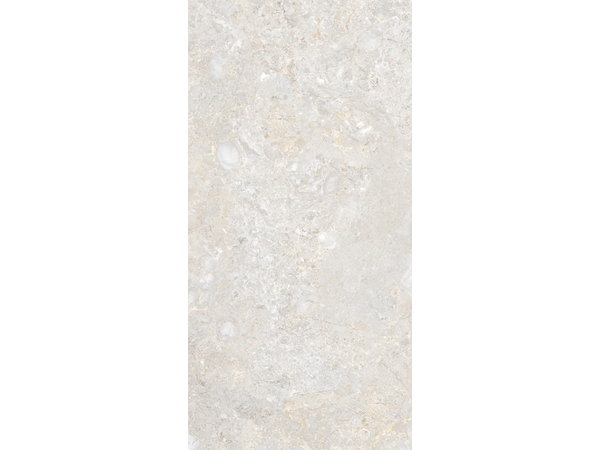 Tizziano ivory MAT 119,8x59,8
