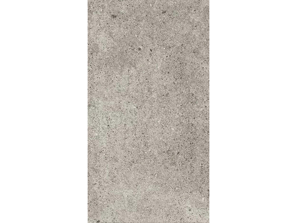 SILVER STONE DF RECTIFIED 60*120