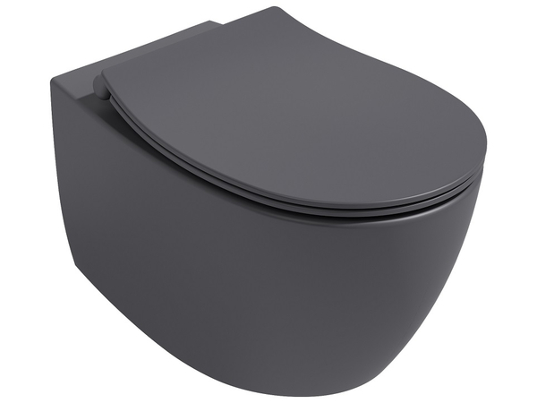 Sentimenti Neo WC+Toilet Seat Anthracite Matt