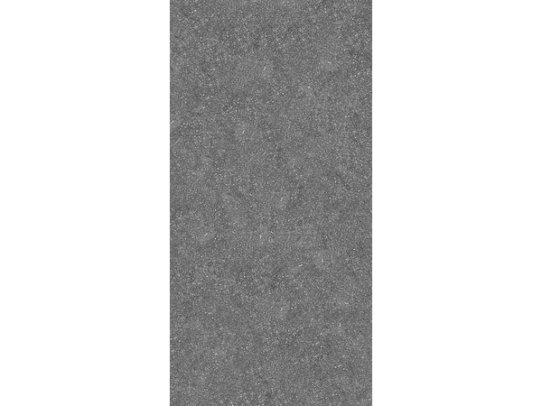 Asfalto Grey STR 119,8*59,8