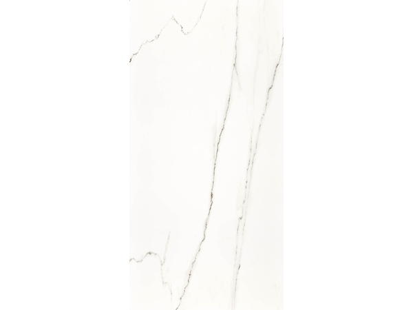 STATUARIO RETT POL 120*240