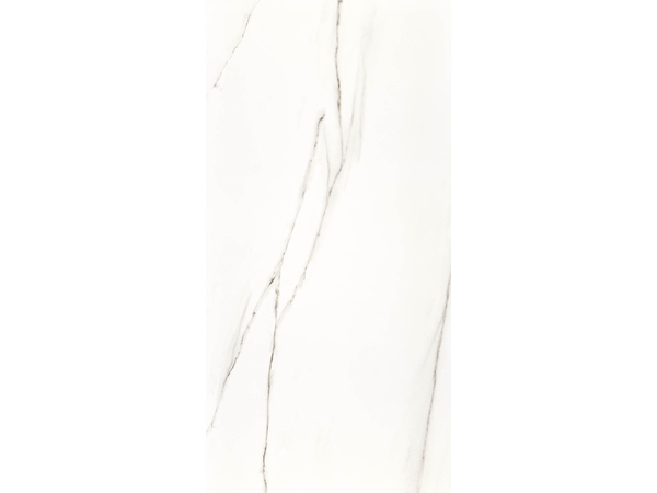 STATUARIO RETT POL 120*240