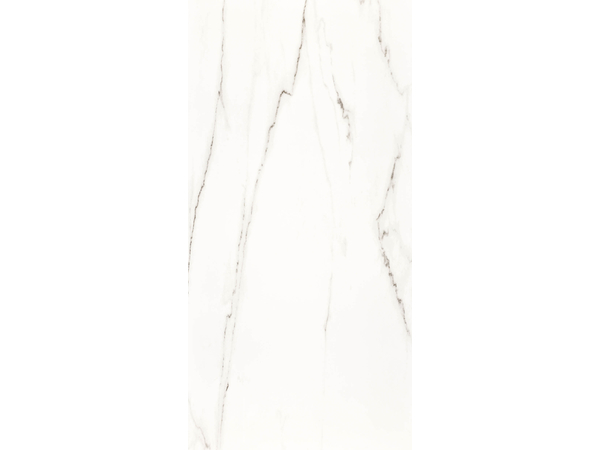 STATUARIO RETT POL 120*240