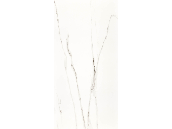 STATUARIO RETT POL 120*240