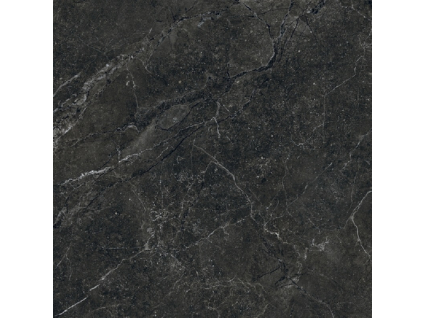 Gobi Graphite Str 119,8*119,8