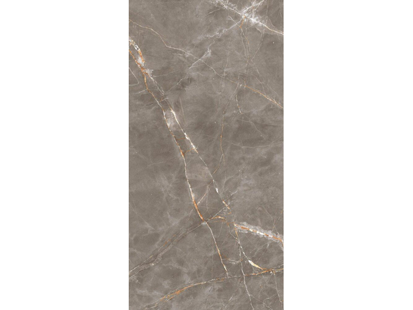 Shinestone Grey Mat 59,8*119,8