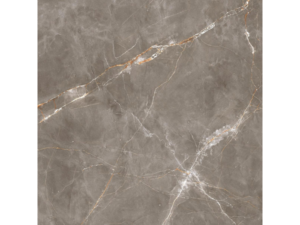 Shinestone Grey Mat 79,8*79,8