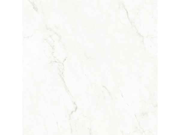 Concorde pol 79,8*79,8