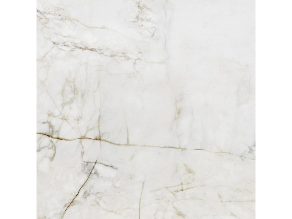 Shellstone white POL 119,8*119,8