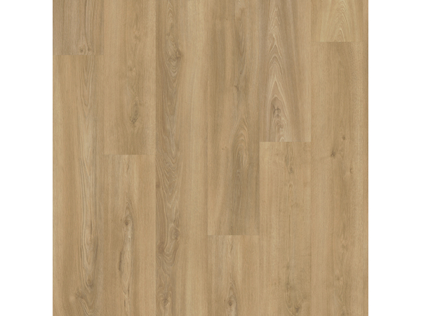 SPC Oak 3510
