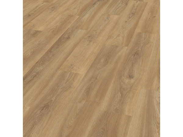 SPC Oak 3530
