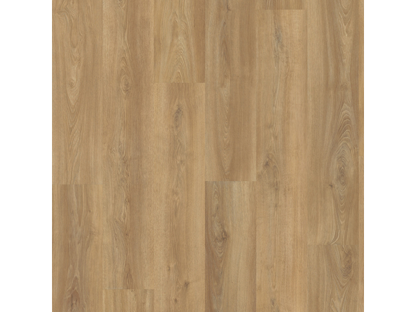SPC Oak 3530