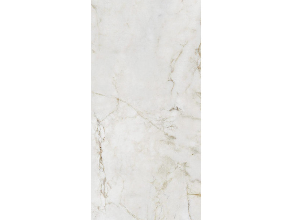 Shellstone white POL 119,8*59,8