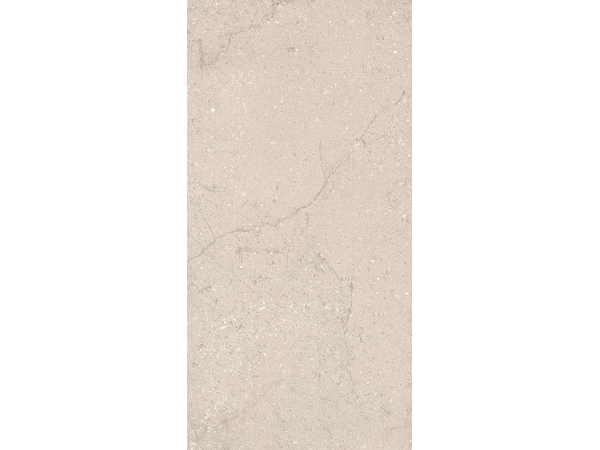 Holiday Sandstone MAT STR 119,8*59,8
