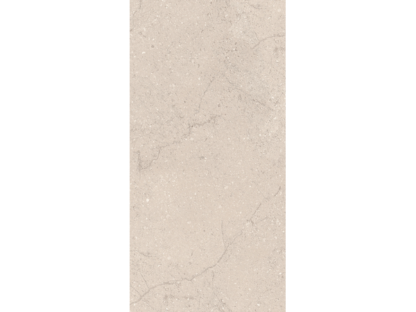 Holiday Sandstone MAT STR 119,8*59,8