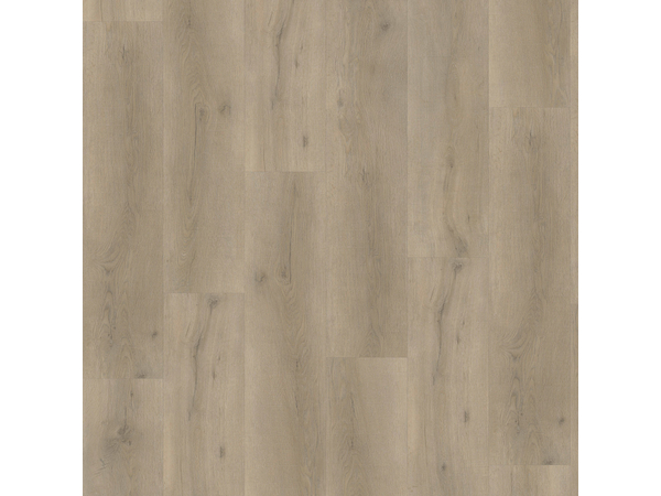 SPC Oak 6840