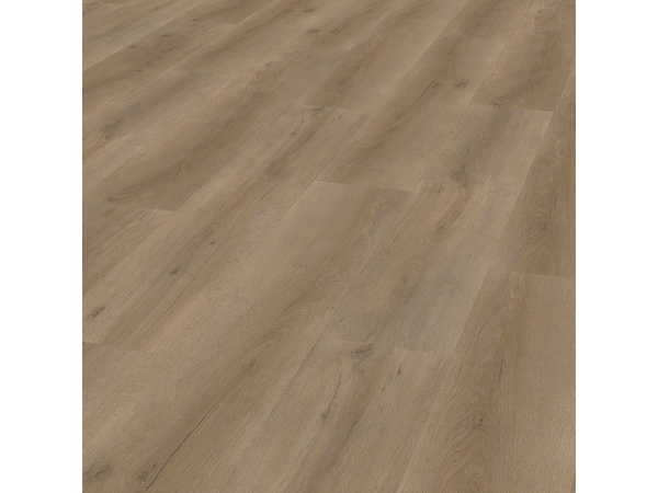 SPC Oak 6860