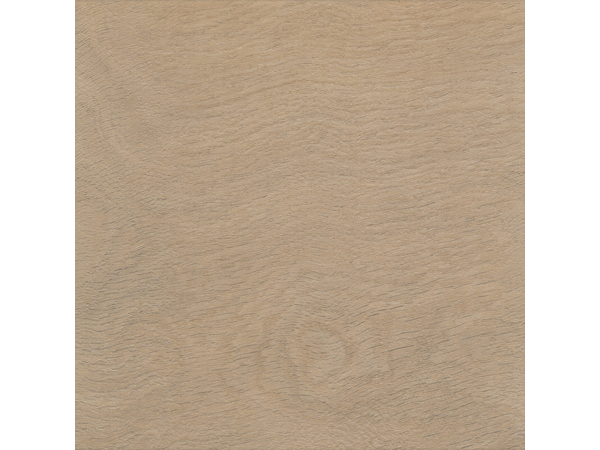 SPC Oak 7810