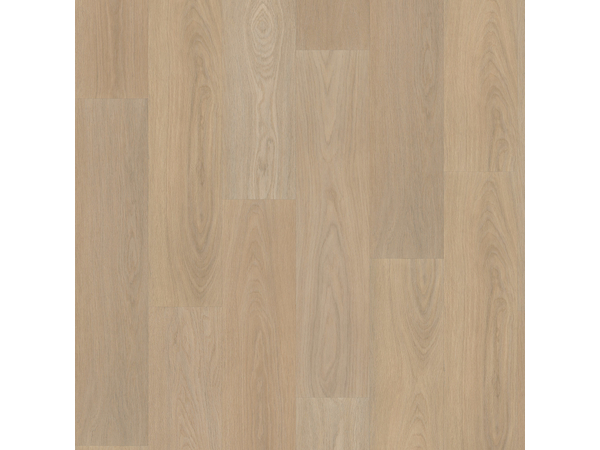 SPC Oak 7810