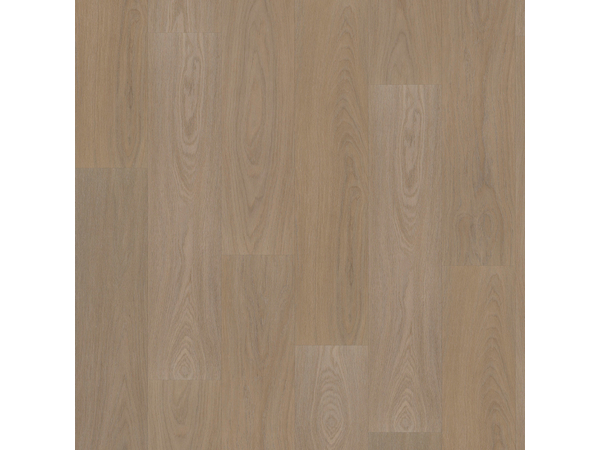 SPC Oak 7830
