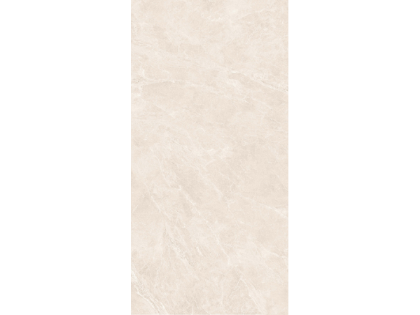 Swan Bone RNP 60*120
