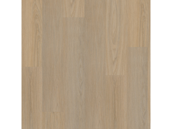 SPC Oak 7815