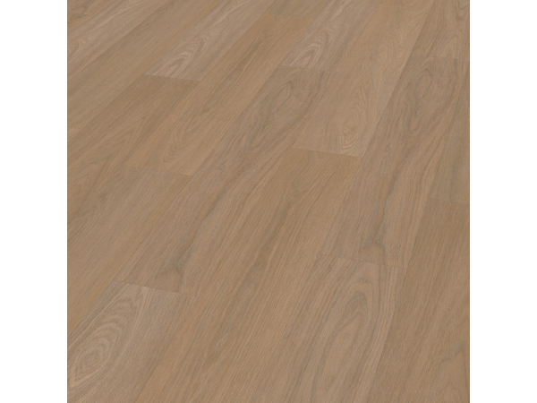 SPC Oak 7825