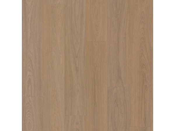 SPC Oak 7825