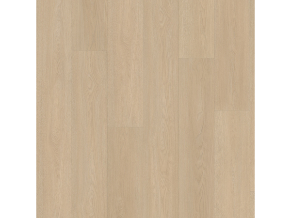 SPC Oak 8510