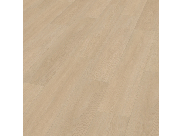 SPC Oak 8510