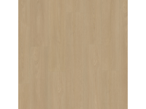 SPC Oak 8530