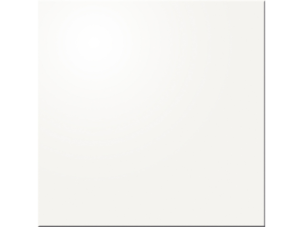 Pastel S-White Bialy Pol 20*20