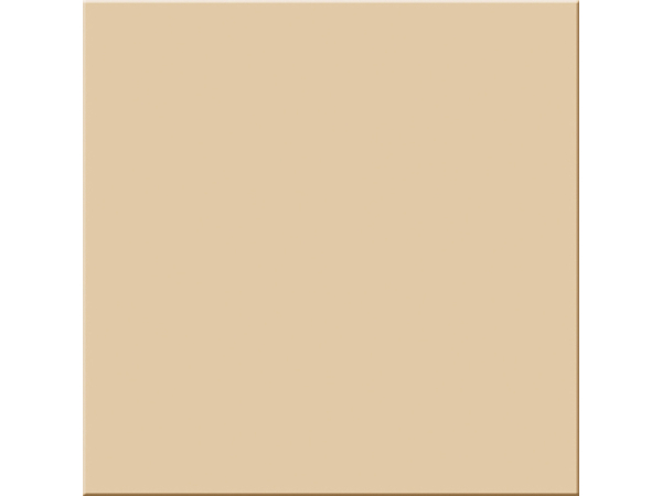Pastel S-Kosc Sloniowa Mat 20*20