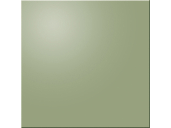 Pastel S-Oliwkowy Pol 20*20