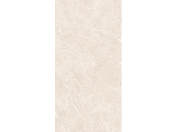 Swan Bone RNP 60*120