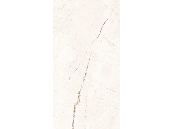 Amazonia Stone STR 119,8*59,8