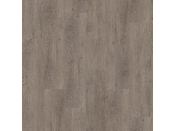 SPC Oak 8150