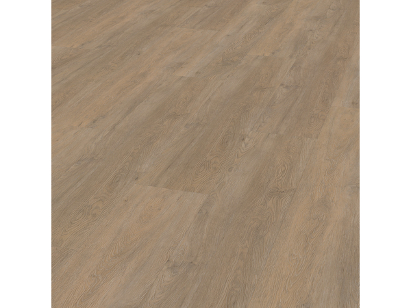 SPC Oak 8300