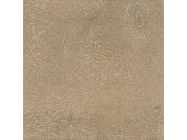 SPC Oak 8360