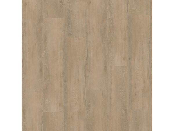 SPC Oak 8360