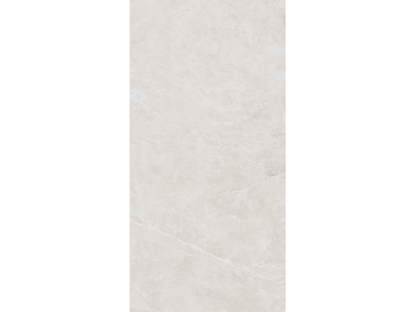 Swan Light Grey RNP  60*120