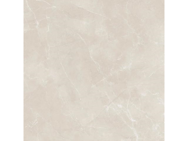 Pulpis Prime Light Grey MAT 120*120