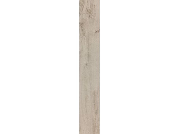 DENDRO MAPLE(Akcaagac) 18*118