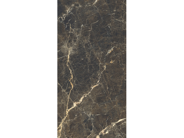 DUKE STONE POLISHED 1198*2398