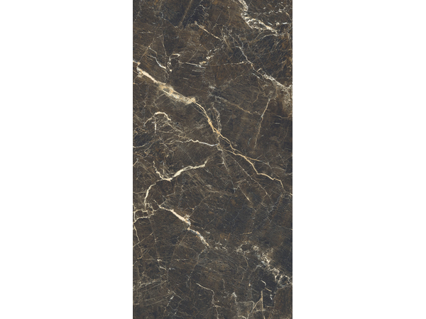 DUKE STONE POLISHED 1198*2398