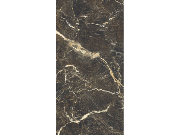 DUKE STONE POLISHED 1198*2398