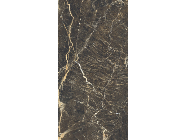 DUKE STONE POLISHED 1198*2398