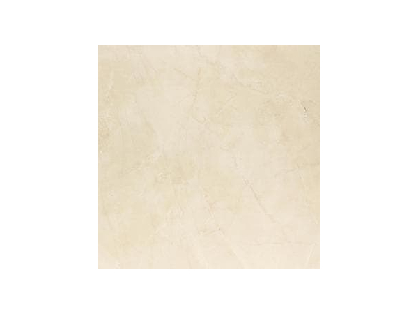 ROYAL PULPIS BONE RETT POL 80*80