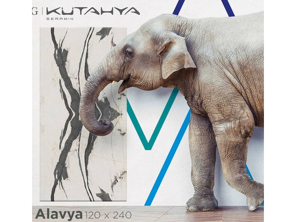 ALAVYA RECT LAPPATO 120*240